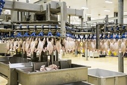 Успешный переход мясоперерабатывающего комплекса Ясные Зори на версию 4.1 Схемы FSSC 22000